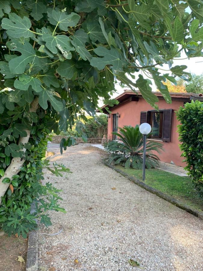 Willa La Casa Di Irene Nel Golf Club Rzym Zewnętrze zdjęcie